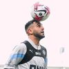 sapir.mahrez