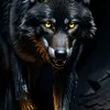 user37058551509126