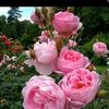 zainab.noor122