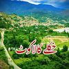 Beautiful village kala kot ❤️