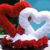 user52510601659034