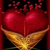 www.tiktok.comhonest01
