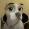 riri.asl