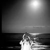 56_kiw2