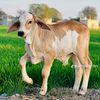 mtm.ketal.farming