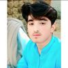 shahzaibjutt3658