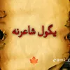 user44361590481074