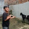 ciooo_aja