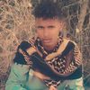 user9800533344055