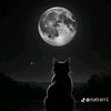 solitaire.comme.la4
