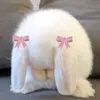 yourgho2