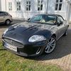 dinmor69420