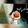 rashidrashid6762