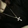 charlotte_lambe