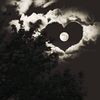 noryn.mohamad