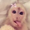 llovelyshayy