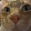 kirixx22