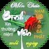 tm.t535