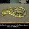 frenchhornplayercauseidk
