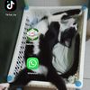 luisaespinoza332