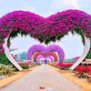 mg.zaw4961