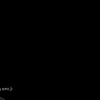plamcho_10