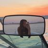 jacq_lovett4