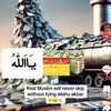 nisar.ahmed1267