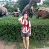 nam.phed4
