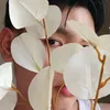 glowithjet_