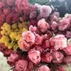 thanhtrang.cil