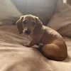paige.robertson112