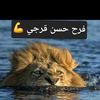 user4076259612823