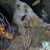 beauty.of.the.sea2
