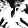 тгк - bladedme