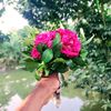 user119116330