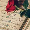 user77111848406395