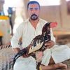 sajwal.ali68