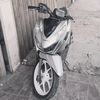 rendi5016