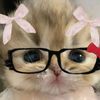 qaww_lipinbaraa_2323
