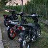 supraonly6