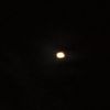 gurda_az5