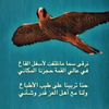user7871440380705