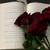 ao3ud