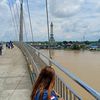 dek.amy001