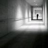 mousa.733