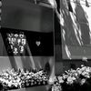 katarinamartinovic54