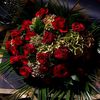 gunel_suleymanova629