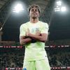 pedribarca33