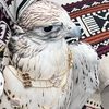 wi_3el